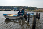 漁協組合員の協力を得て看板を設置する自然環境部会員