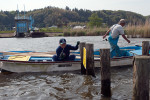 漁協組合員の協力を得て看板を設置する自然環境部会員