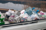 観察会前に北浦周辺で回収したゴミ